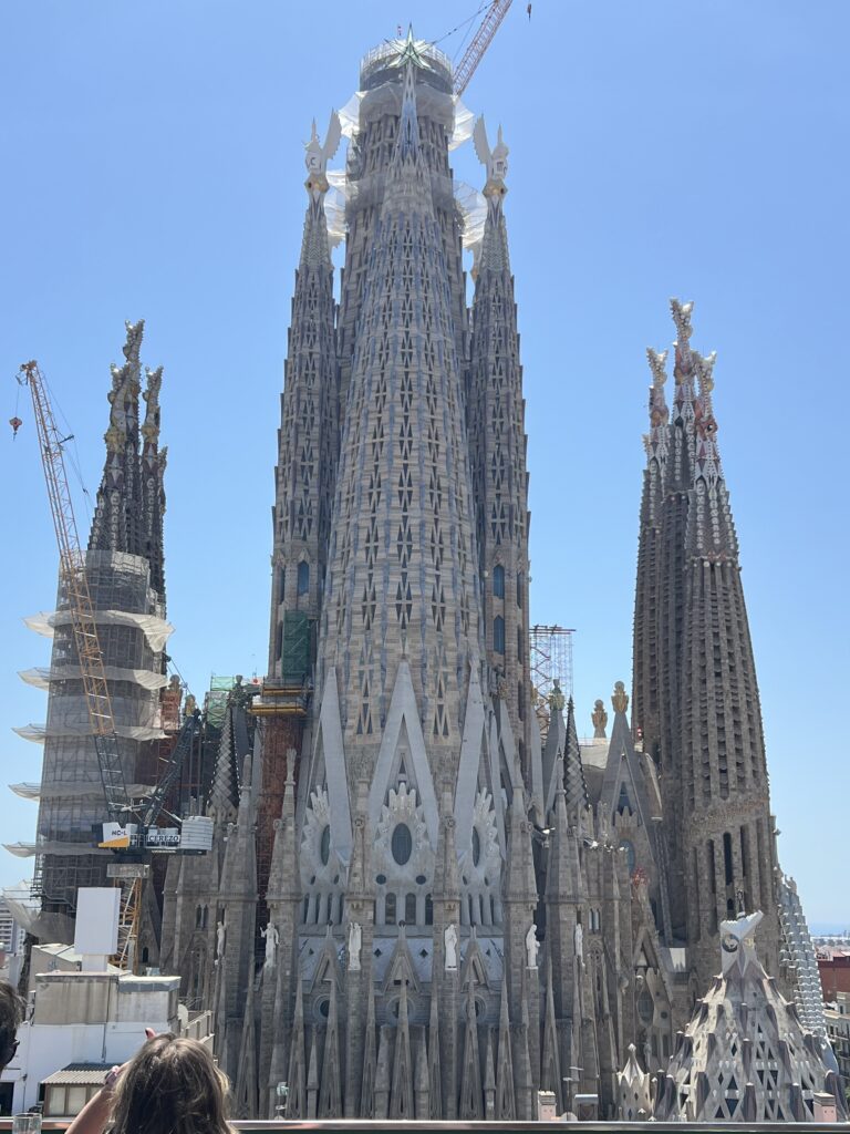 セルコテル ロセリョンからの景色