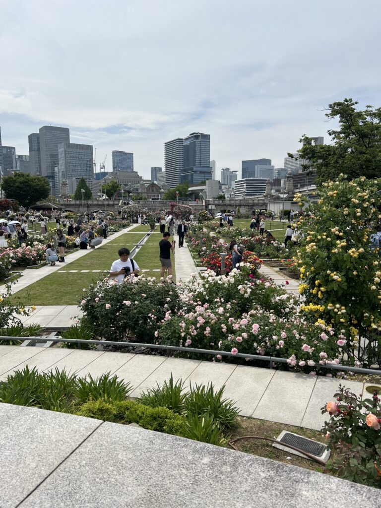 中之島バラ園