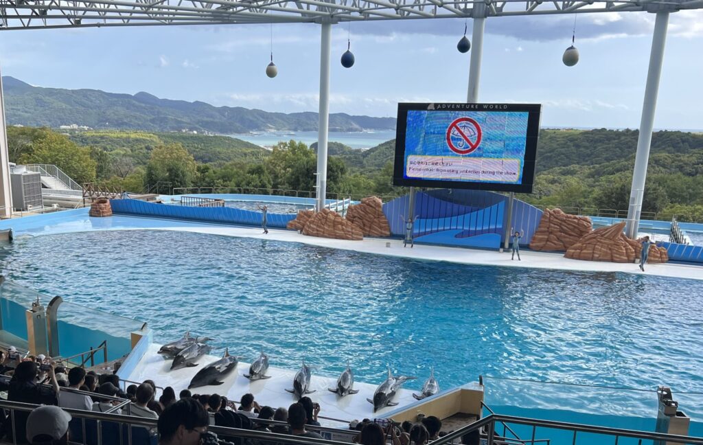 アドベンチャーワールドのイルカショー
