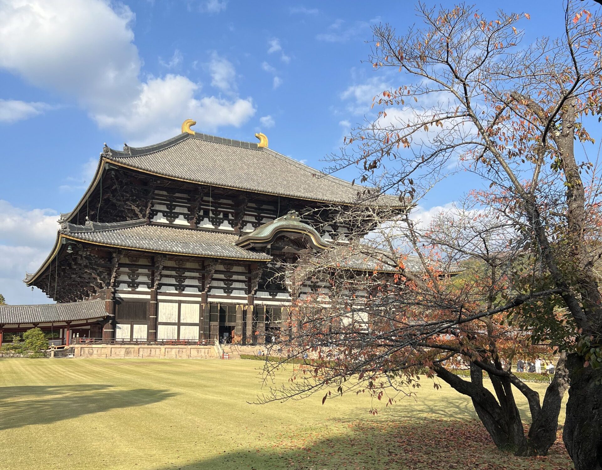 東大寺
